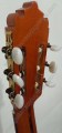 Guitarra fina de Nogal modelo GRG 5