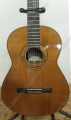 Guitarra de palo de rosa modelo DGC 2