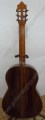 Guitarra de palo de rosa modelo DGC 3