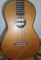 Ukulele Barítono palo de rosa modelo PRPN 5