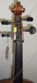 Violoncello modelo MPPA de maple 5